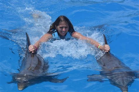 nager avec les dauphins punta cana|Punta Cana : Baignade avec les dauphins